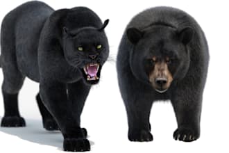 do 3d animal model, animal animation, animation for kids and 3d animal rigging