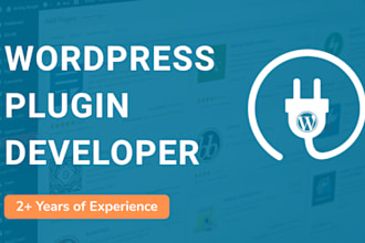 be your custom wordpress plugin developer