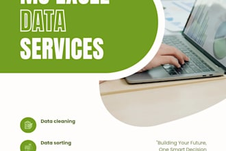professionally clean, format and sort your excel data