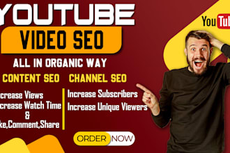 be your best you tube video seo expert and channel manager