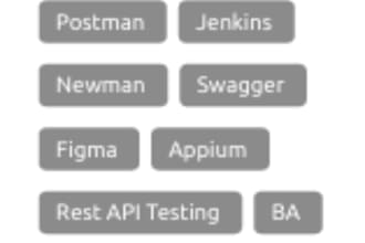 provide high quality software testing services for web and mobile applications