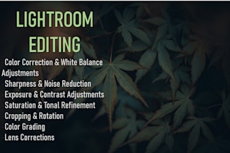 do professional photo editing in adobe lightroom