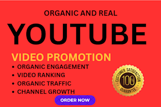 organic youtube video promotion for channel growth