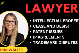 be intellectual property, trademark, patent and copyright infringement lawyer