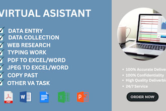 be your VA for data entry and copy paste, convert pdf to excel