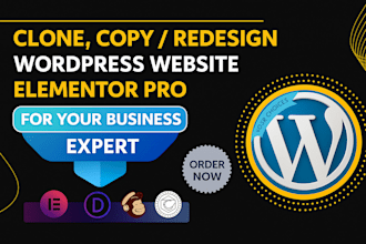 duplicate copy clone website or redesign wordpress website