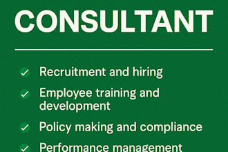 do HR consultant provide end to end HR solutions