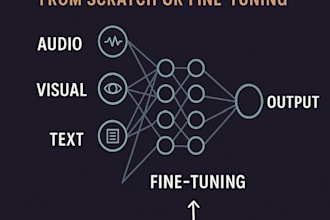 design and optimize neural networks for your data  from scratch fine tuning