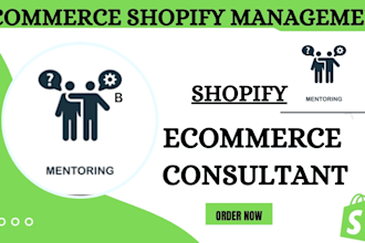 ecommerce store management shopify mentoring shopify store management