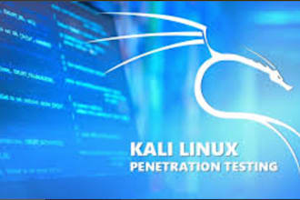 do kali and ubuntu labs for pen testing and cybersecurity