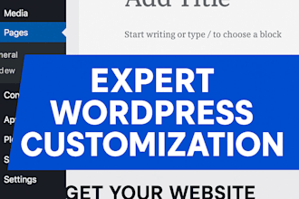 do wordpress customization and theme update or manage for your website