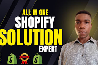 build all in one exceptional shopify dropshipping store website redesign store
