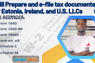 prepare and efile tax  for estonia, ireland, and u s llcs, 1040, 1120, 1065