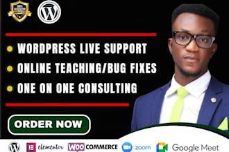 do live wordpress consulting, teaching or troubleshooting
