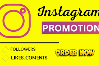 do organic instagram promotion