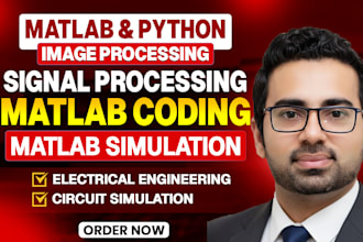 do simulations, image processing, statistical analysis using matlab and python