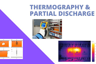 perform thermographic and partial discharge testing