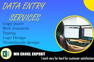 do excel data entry, web research, data conversion work and copy paste data