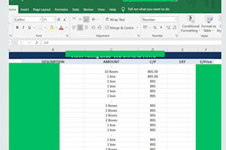do microsoft excel data entry