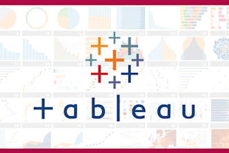 develop custom and professional tableau analytics dashboard