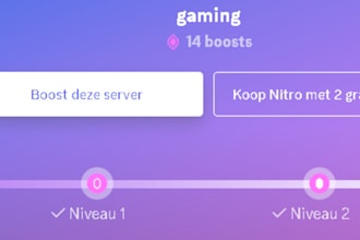 boost your discord server 14x 1month 3months