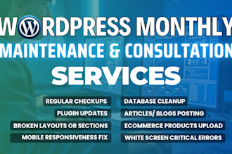 provide monthly wordpress maintenance, support, bug fixes, SEO help