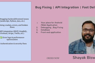 debug, fix bugs, and integrate apis for your app or website