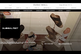 build luxury footwear shopify store, sneakers store slippers droshipping website