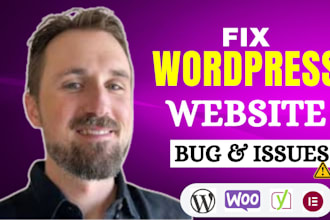 fix wordpress bugs, responsive issues, critical errors, and plugin