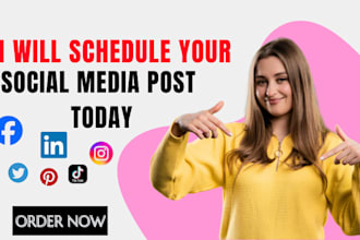 buffer metricool hootsuite later loomly to schedule posts on social media posts