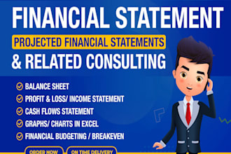 do accounting and finance tasks, financial reports, analysis, and projects