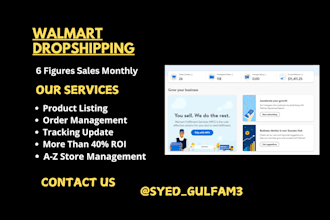 be your walmart 2 step dropshipping, walmart wfs wholesale VA