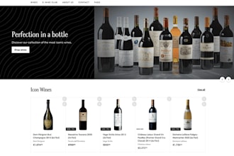 clone shopify store, design and duplicate shopify store