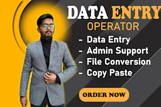 do excel , word data entry and all copy paste