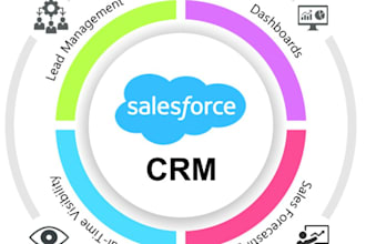 be your salesforce business analyst