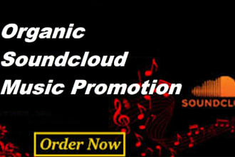 do organic spotify soundcloud music promotion to 900k