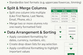 clean, format, merge,split excel data
