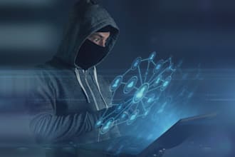 do investigations on online fraud and crypto scams
