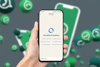 setup whatsapp business api, whatsapp chatbot, whatsapp ai chatbot, fix flow