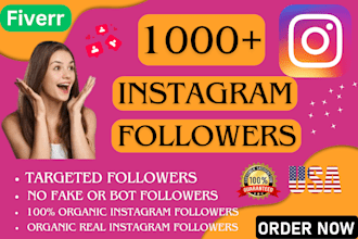 provide 1,000 instagram followers fast