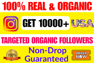 provide 1,000 instagram followers fast