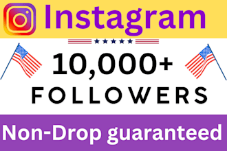 provide 2,000 instagram followers fast