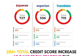 professionally remove experian inquiries within 6 hours