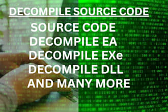setup source code, decompile software, decompile ea, reverse engineering