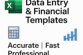 do accurate excel data entry, formatting, and financial templates