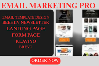 design landing pages, forms, and email campaigns  klaviyo brevo newsletter