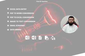 expert excel data entry, web research, data cleaning
