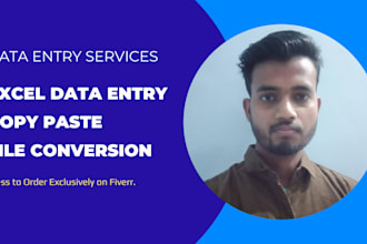 do data entry, copy paste and file conversion work