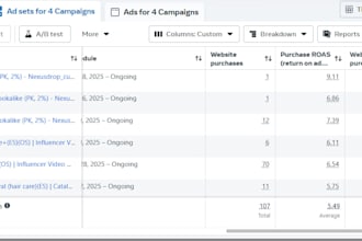 run high converting meta and tiktok ads to scale your ecommerce brand