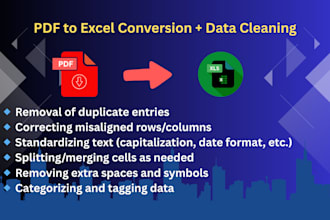 clean and convert PDF data into organized excel sheets
